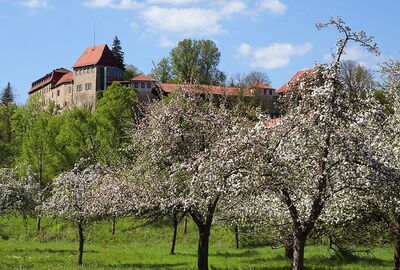 Burg Creuzburg im Fr?hling