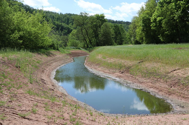 Neu geschaffene Altarme, Flutrinnen und Tümpel im 2. Renaturierungsabschnitt 2022.