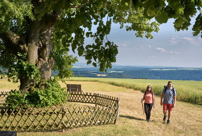 Wanderer an der Lindenhecke bei Schierschwende