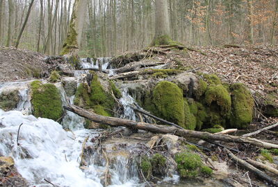 Kalktuffquelle Wagental