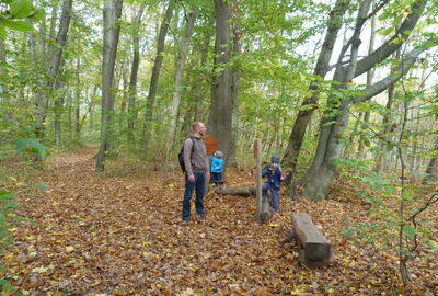 MärchenNaturPfad Feensteig