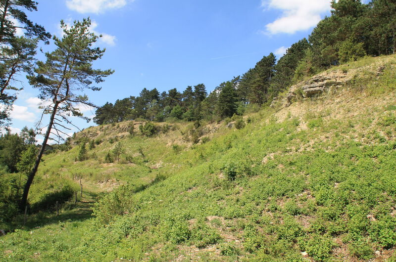Die Dieteröder Klippen im Eichsfeld.