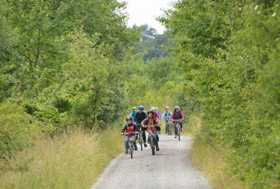 Radfahren im Nationalpark Hainich
