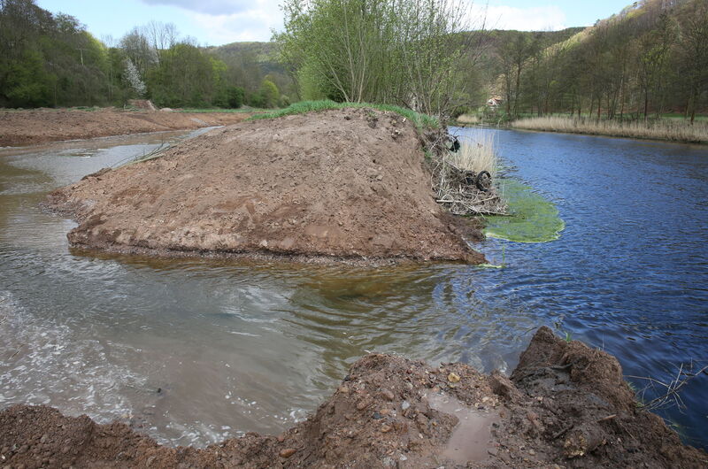 Altarm-Renaturierung 2014