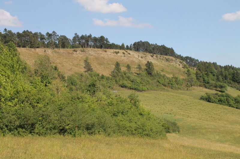 Die Dieteröder Klippen im Eichsfeld.