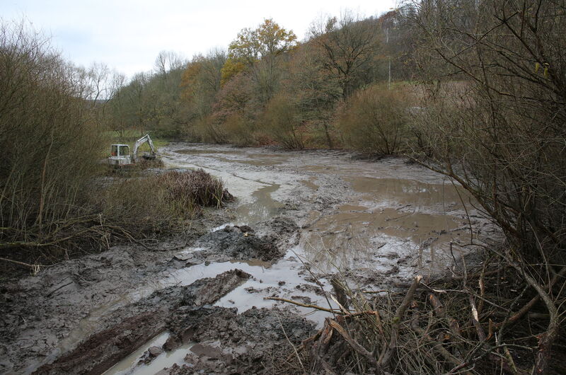 Der vorhandene aber stark verlandete Teich wird 2013 wiederhergestellt.
