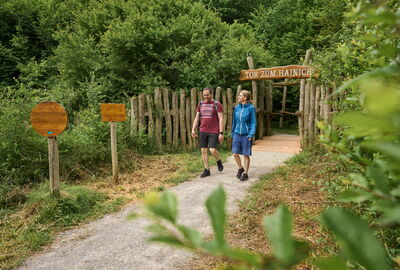 Wanderpaar unterwegs auf dem Hainichlandweg
