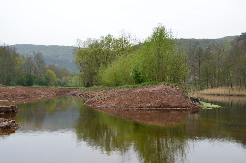 Altarm-Renaturierung 2014
