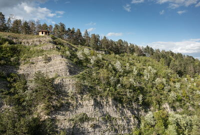 Blick auf die Adolfsburg, eine Schutzhütte auf leicht bewaldetem Felsen bei Treffurt.