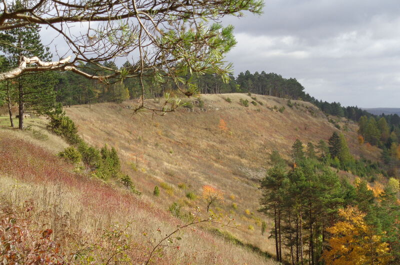 Die Dieteröder Klippen im Eichsfeld.