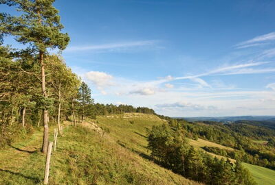 Auf den Dieteröder Klippen