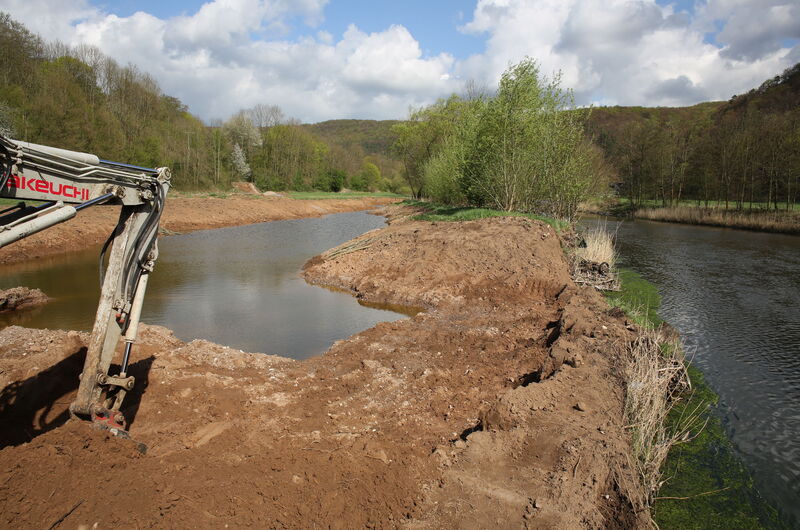 Altarm-Renaturierung 2014