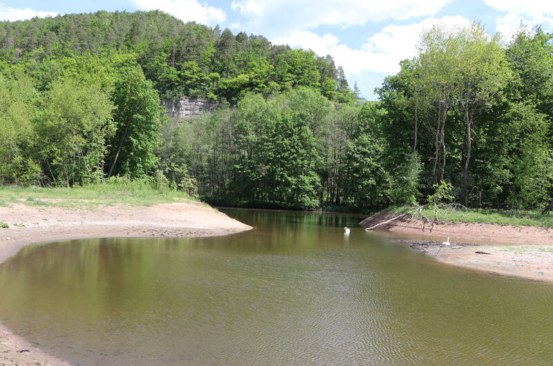 Neu geschaffene Altarme, Flutrinnen und Tümpel im 2. Renaturierungsabschnitt 2022.