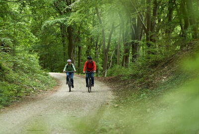Radfahrer auf dem Südeichsfeld-Radweg 2