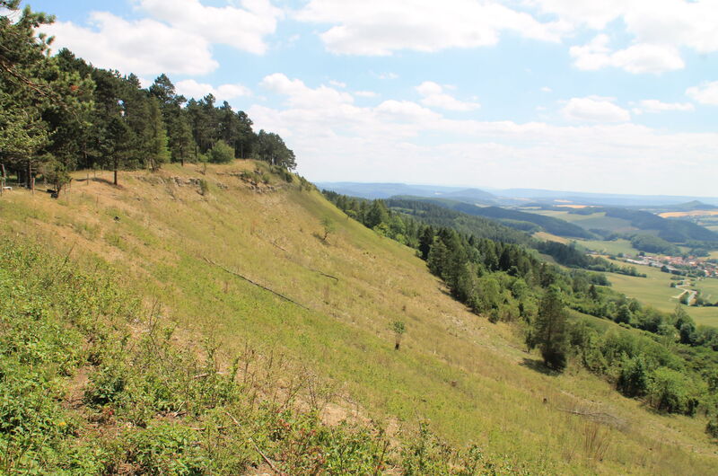 Die Dieteröder Klippen im Eichsfeld.