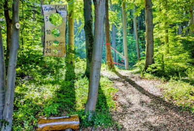 Auf dem Abenteuerpfad