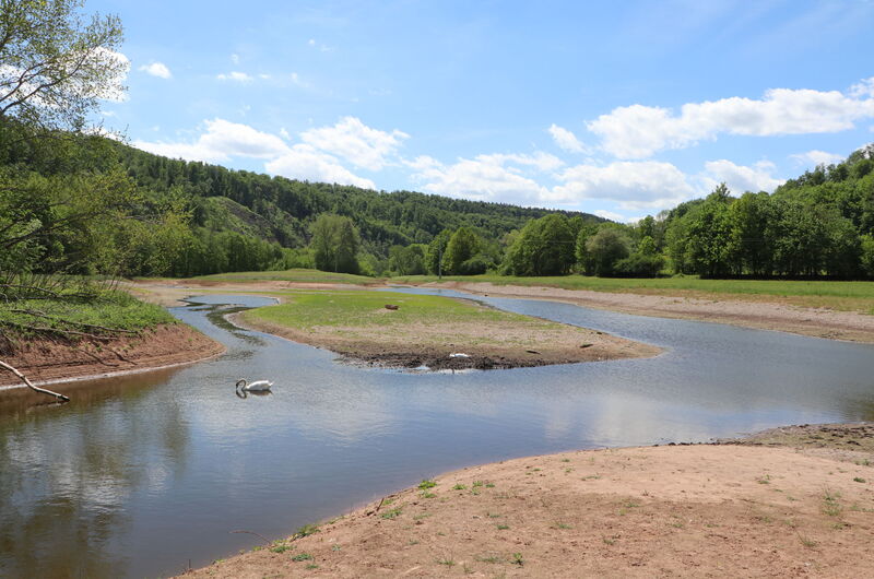 Neu geschaffene Altarme, Flutrinnen und Tümpel im 2. Renaturierungsabschnitt 2022.