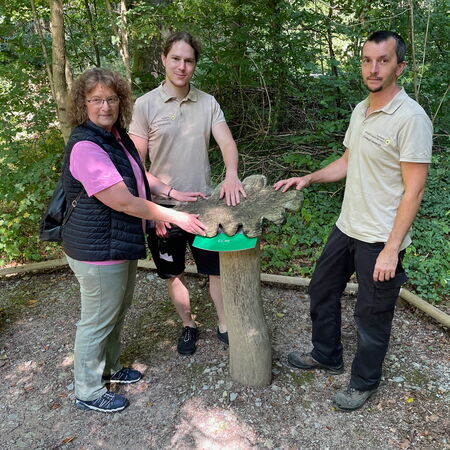 v.l.n.r. Silke Senge vom Blinden- und Sehbehindertenverband Thüringen e.V., Kreisorganisation Eichsfeld, sowie die Naturpark-Ranger Paul Brandenburg und Christoph Heckeroth an einer Taststation auf dem Erlebnispfad im Naturparkzentrum Fürstenhagen.